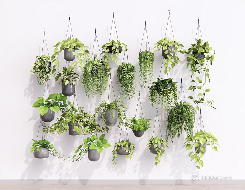 Multiple Hanging Green Plants with Lush Leaves on White Wall in Dark Pots 3d model 