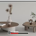 Stylish Modern Coffee Tables With Wooden Bases Vases Plants And Decorative Books