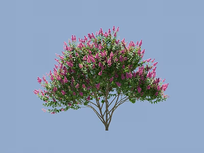 Beautiful Flowering Arbor With Pink Flowers And Green Leaves Against Blue Sky 3d model