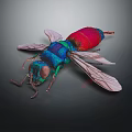Colorful Insect With Blue Red Green Body And Transparent Wings On Dark Background