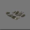 Various Animal Skulls Collection With Different Species Skeletal Remains On Gray Background