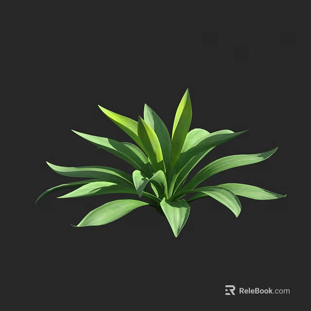 Green Leafy Succulent Plant With Broad Fleshy Leaves And Healthy Growth 3d model 