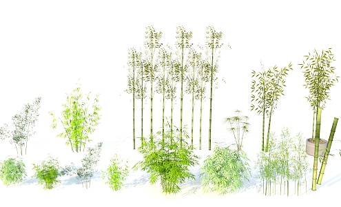 Plant material bamboo combination 3d model