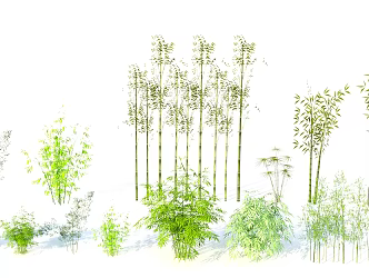 Plant material bamboo combination 3d model
