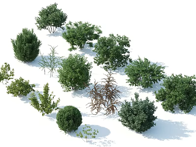 Various Types of Deciduous and Evergreen Arbor Trees in Landscape Garden 3d model