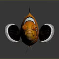 Colorful Striped Clownfish With Orange Black And White Patterns On Dark Background