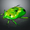 Vibrant Green Beetle with Glossy Shell and Black Spots Displaying Shiny Body on Dark Background