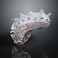 Spiky Conch Shell With Textured Surface And Grayish White Color On Black Background