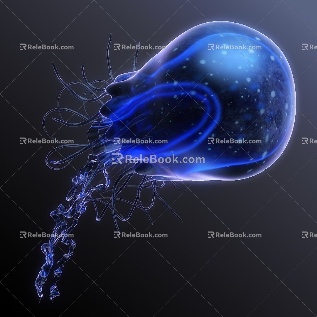 Jellyfish 3d model