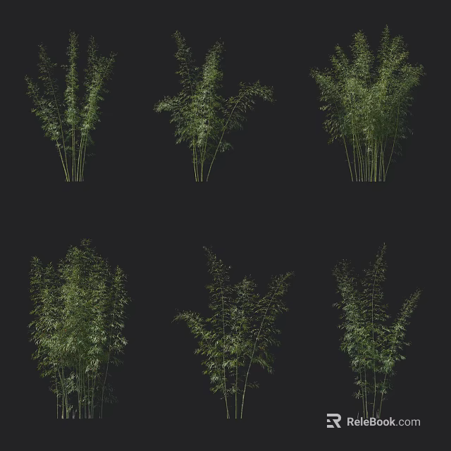 Various Bamboo Plants Showing Different Green Foliage and Stems in Natural Forms 3d model 
