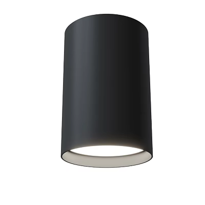 Modern Black Cylindrical Downlight Spotlight With White Light Source Design 3d model