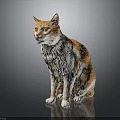 Orange and white cat sitting on shiny surface with dark background