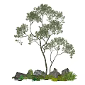 arbor landscape tree 3d model