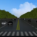 Road Infrastructure with Double Yellow Lines Zebra Crossing Trees on Both Sides and Vehicles