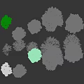 Deciduous Trees with Green Leaves Autumn Yellow Foliage and Bare Branches Across Different Seasons