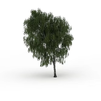 Road Greening Tree 3d model