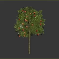 Vibrant Fruit Tree With Green Leaves And Red Orange Fruits As Healthy Food Source
