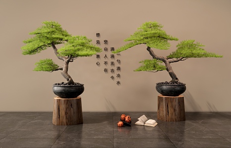 New Chinese Pine Bonsai Pine Bonsai Ornaments 3d model