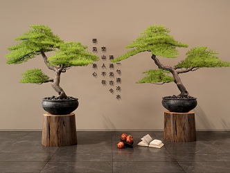 New Chinese Pine Bonsai Pine Bonsai Ornaments 3d model