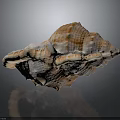 Conch With Natural Brown And White Spiral Texture And Surface Nodules On Dark Background
