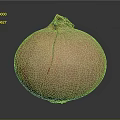 Fresh Pink Onion With Cracked Skin On Dark Background Close Up View