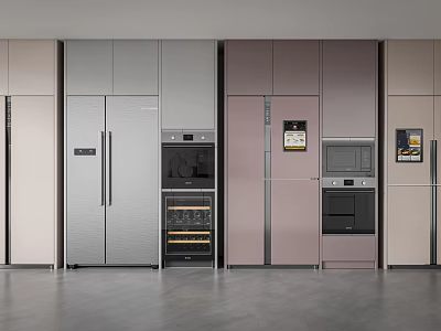 Modern Refrigerators with Various Colors and Built in Design for Modern Kitchen 3d model