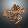 crab sea crab river crab hairy crab bread crab hermit crab big crab small crab marine animal fish 3d model