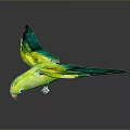 Green and yellow parrot bowing head with partially spread wings standing on reflective dark background