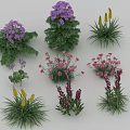 Assorted Garden Flowers And Plants With Purple Pink Yellow Blooms And Clusters