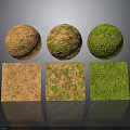 Three Textured Spheres and Cubes with Green and Brown Mossy Surfaces in 3D Render