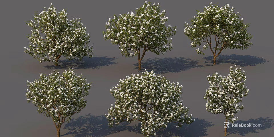 Multiple Flowering Arbor Trees With White Blossoms And Green Foliage 3d model 