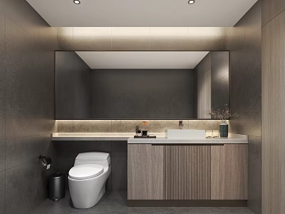 Modern Bathroom Interior With Gray Wall Tiles Large Mirror Wooden Vanity And White Toilet 3d model