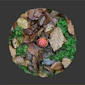 Autumn Forest Floor Scene With Red White Spotted Mushroom Fallen Leaves And Green Foliage