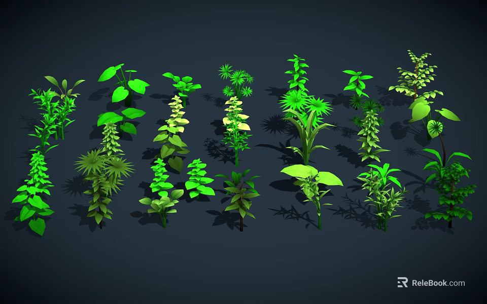 Green Plants With Various Shapes Sizes Leaves Arranged On Dark Background 3d model 
