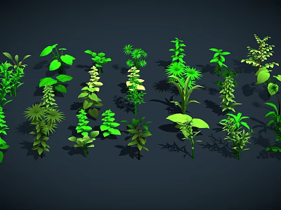 Green Plants With Various Shapes Sizes Leaves Arranged On Dark Background 3d model