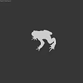 Brown Reptile With Rough Skin Distinct Limbs And Alert Eyes In Studio Setting