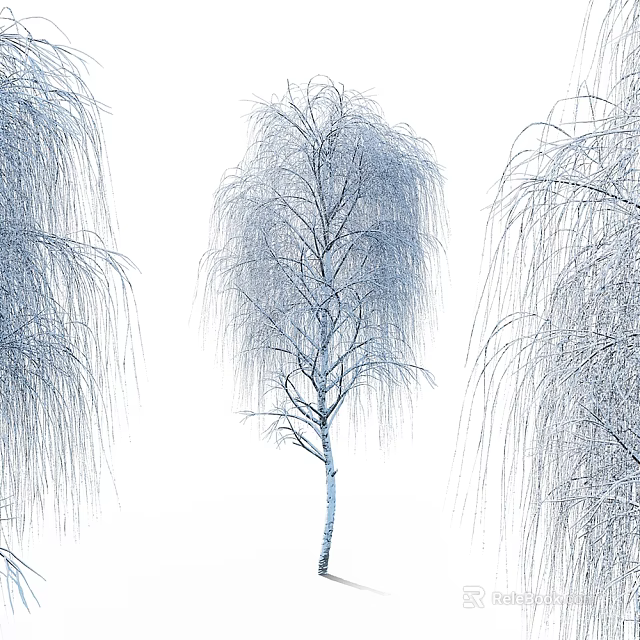 Weeping Willow Tree Featuring Long Drooping Branches And Graceful Foliage Structure 3d model 