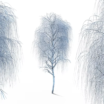 Weeping Willow Tree Featuring Long Drooping Branches And Graceful Foliage Structure 3d model