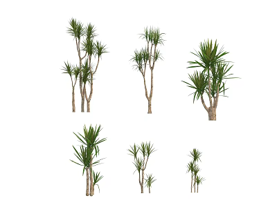 Decorative Shrubs In Various Sizes And Types For Outdoor Garden Design 3d model