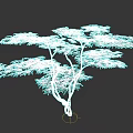 Elegant Red Leaf Arbor With Vibrant Foliage And Graceful Branches