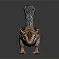 Striped Squirrel With Long Tail Standing On Black Background With Reflection