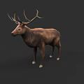 Realistic 3D Deer Model With Large Antlers Brown Body And White Hooves