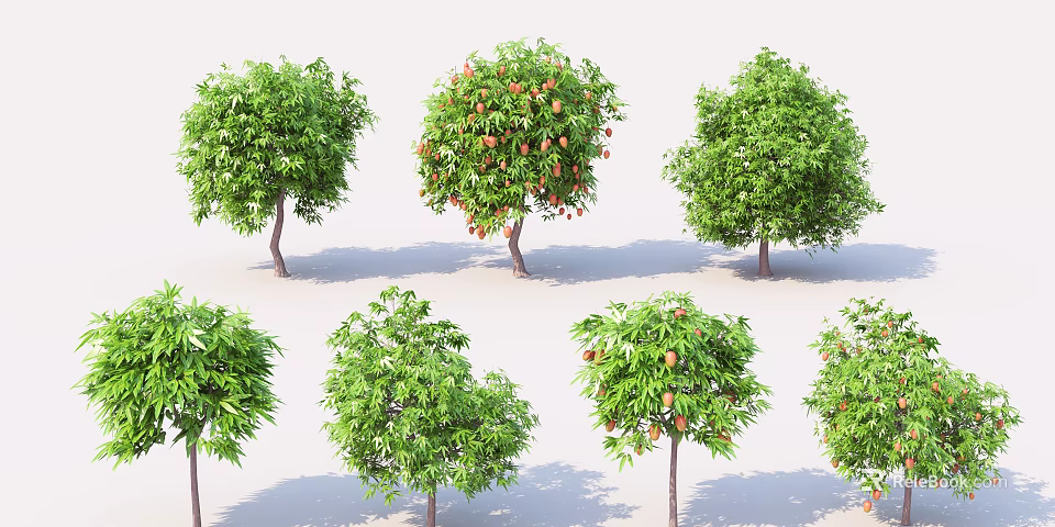 Different Types of Trees with Green Foliage and Fruit Bearing Branches 3d model 