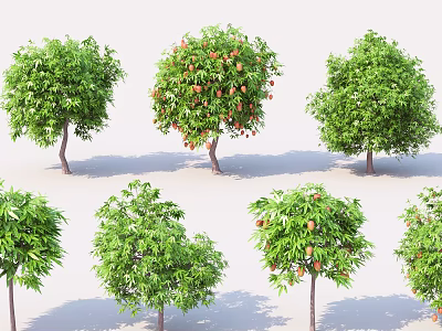 Different Types of Trees with Green Foliage and Fruit Bearing Branches 3d model