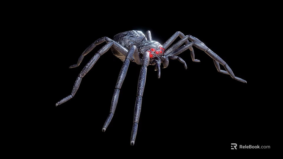 Realistic Black Spider with Red Eyes and Long Legs on Black Background 3d model 