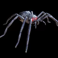 Realistic Black Spider with Red Eyes and Long Legs on Black Background