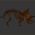 Modern Skeleton Triceratops Skeleton Triceratops Skeleton 3d model