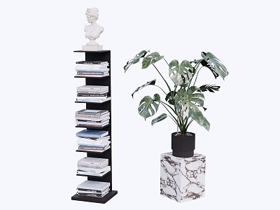 Bookshelf Home Decoration Potted Plant model