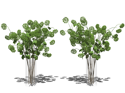 Modern Vase Ornaments Combination model