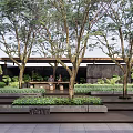 Modern Residential Landscape Entrance Featuring Stone Steps Sculpture And Lush Green Plants